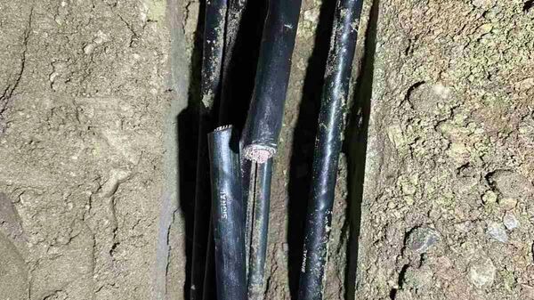 Покушај крађе каблова на делу брзе пруге Београд–Суботица - Sputnik Србија