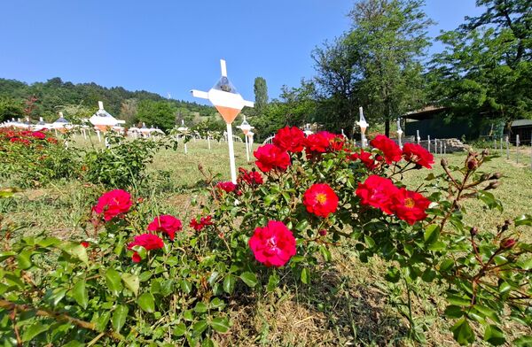 Vojničko groblje u Bitolju nije samo večna kuća naših junačkih predaka, već sveto mesto koje svaki Srbin i onaj koji se tako oseća za života treba da poseti i pokloni se senima onih čiji su podvizi u večnost upisani  - Sputnik Srbija