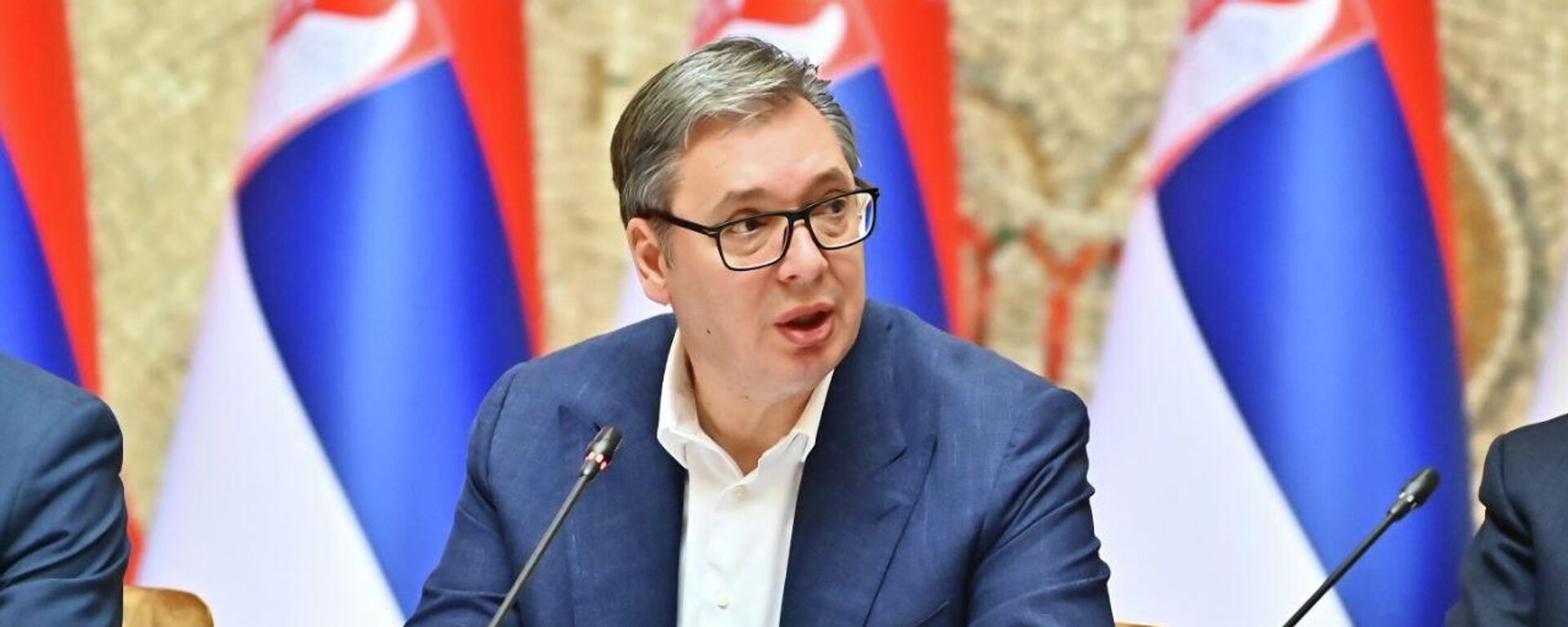 Predsednik Srbije Aleksandar Vučić na sednici Vlade. - Sputnik Srbija, 1920, 16.11.2025