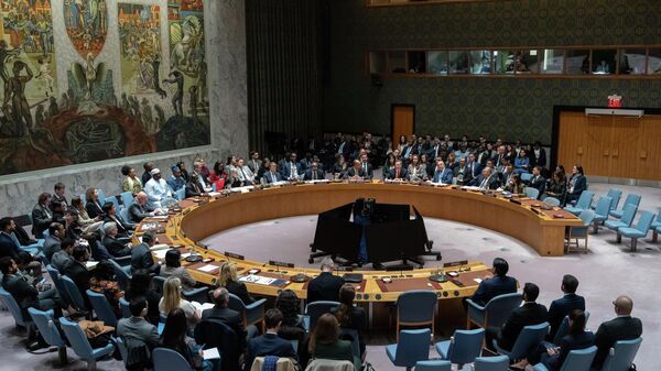 Savet Bezbednosti - Sputnik Srbija