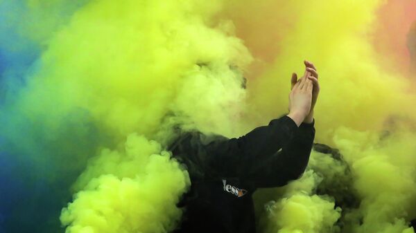 Navijač Rumunije - Sputnik Srbija