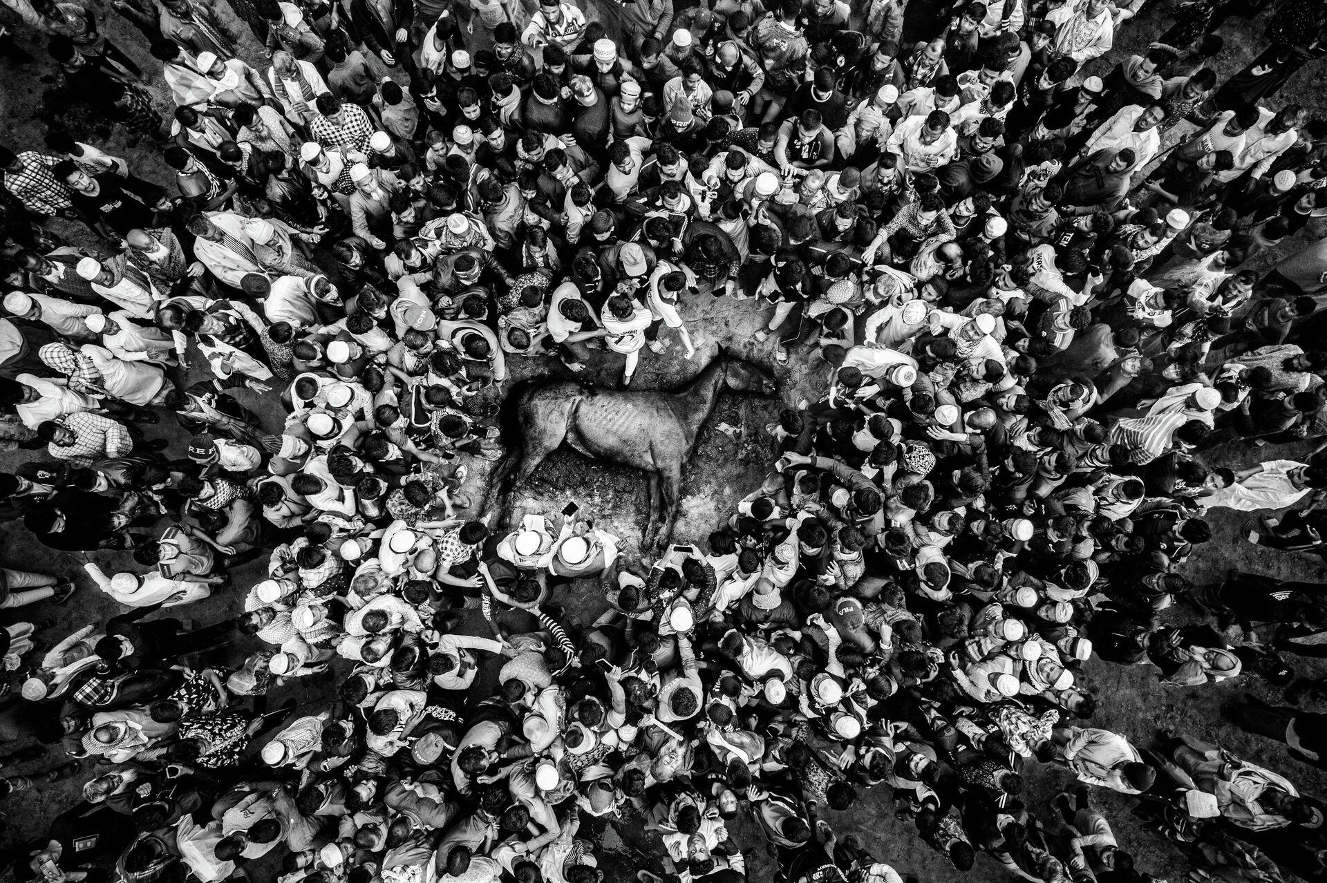 HI Meždunarodnый konkurs fotožurnalistiki imeni Andreя Stenina HI Meždunarodnый konkurs fotožurnalistiki imeni Andreя Stenina - Sputnik Srbija, 1920, 18.11.2025