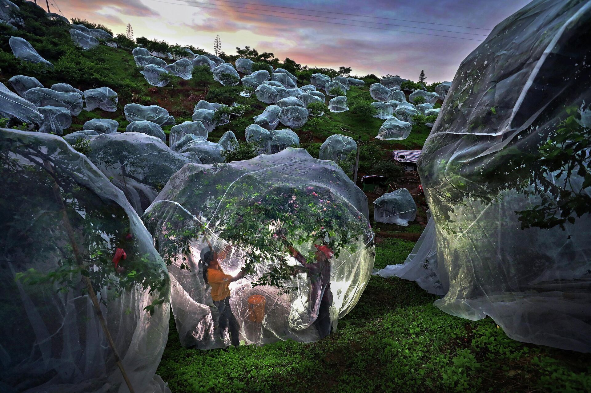 HI Meždunarodnый konkurs fotožurnalistiki imeni Andreя Stenina HI Meždunarodnый konkurs fotožurnalistiki imeni Andreя Stenina - Sputnik Srbija, 1920, 18.11.2025