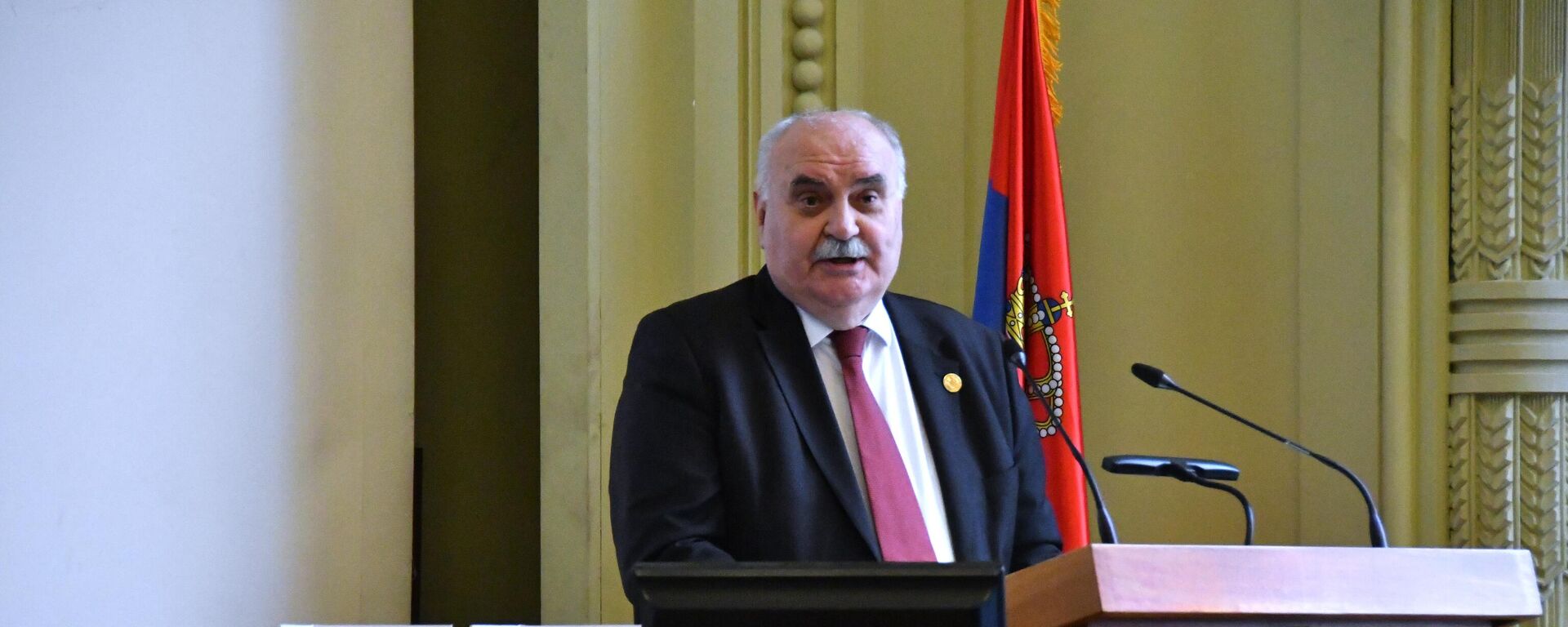 Predsednik SANU Zoran Knežević - Sputnik Srbija, 1920, 19.11.2025