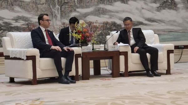 Petar Petković u Kini - Sputnik Srbija