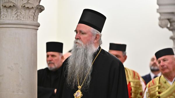 Mitropolit Joanikije  - Sputnik Srbija
