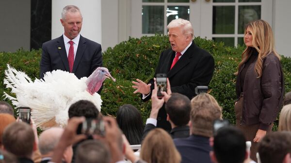 Tramp pomilovao ćurke uoči Dana zahvalnosti - Sputnik Srbija