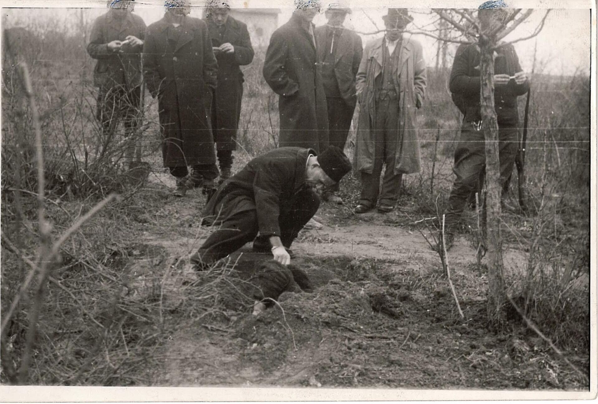 Стрељање у Кошутњаку, октобар 1944. - Sputnik Србија, 1920, 30.11.2025