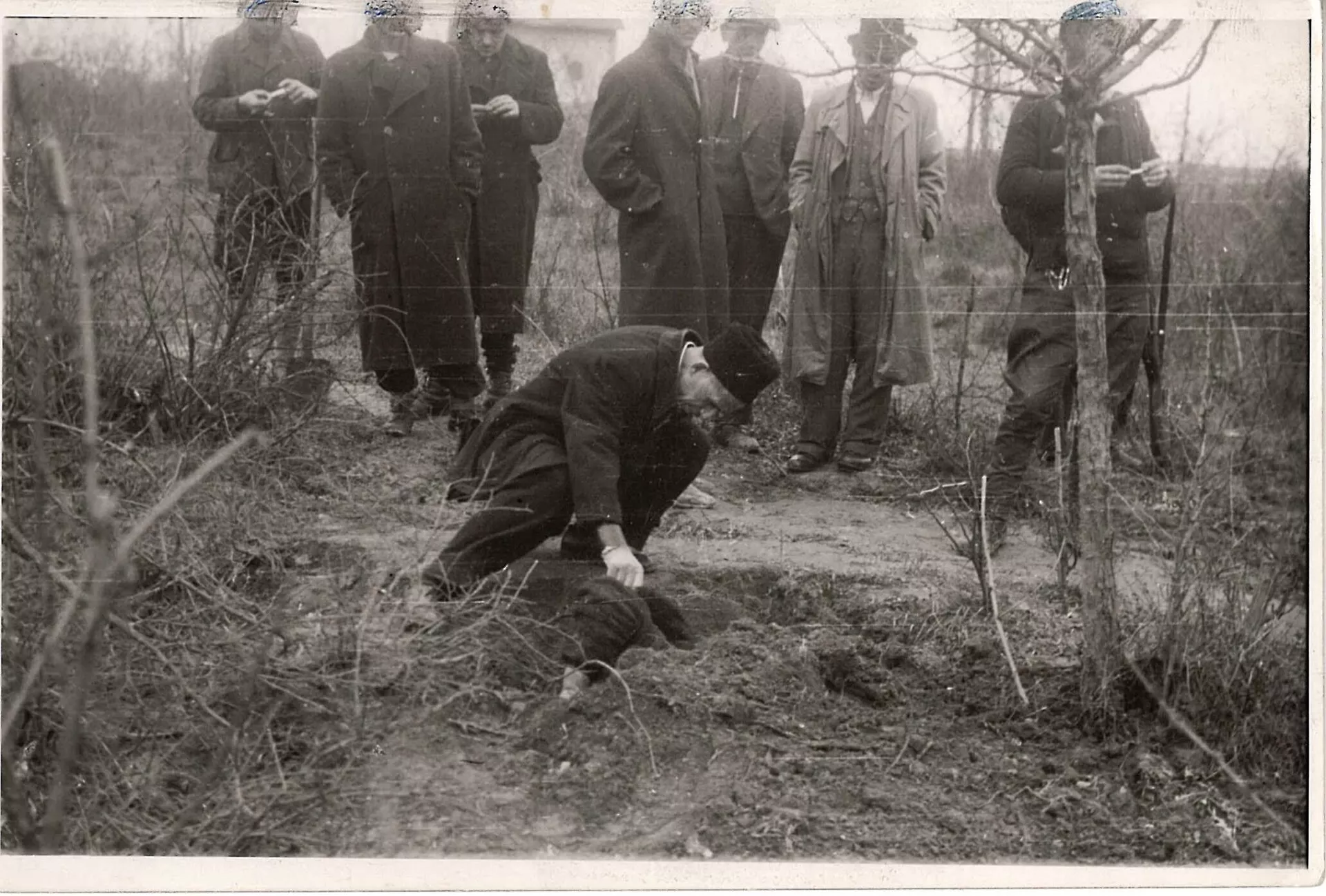 Стрељање у Кошутњаку, октобар 1944. - Sputnik Србија, 1920, 30.11.2025