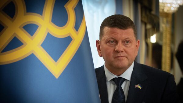 Ambasador Ukrajine u Velikoj Britaniji i bivši vrhovni komandant ukrajinskih oružanih snaga Valerij Zalužni  - Sputnik Srbija