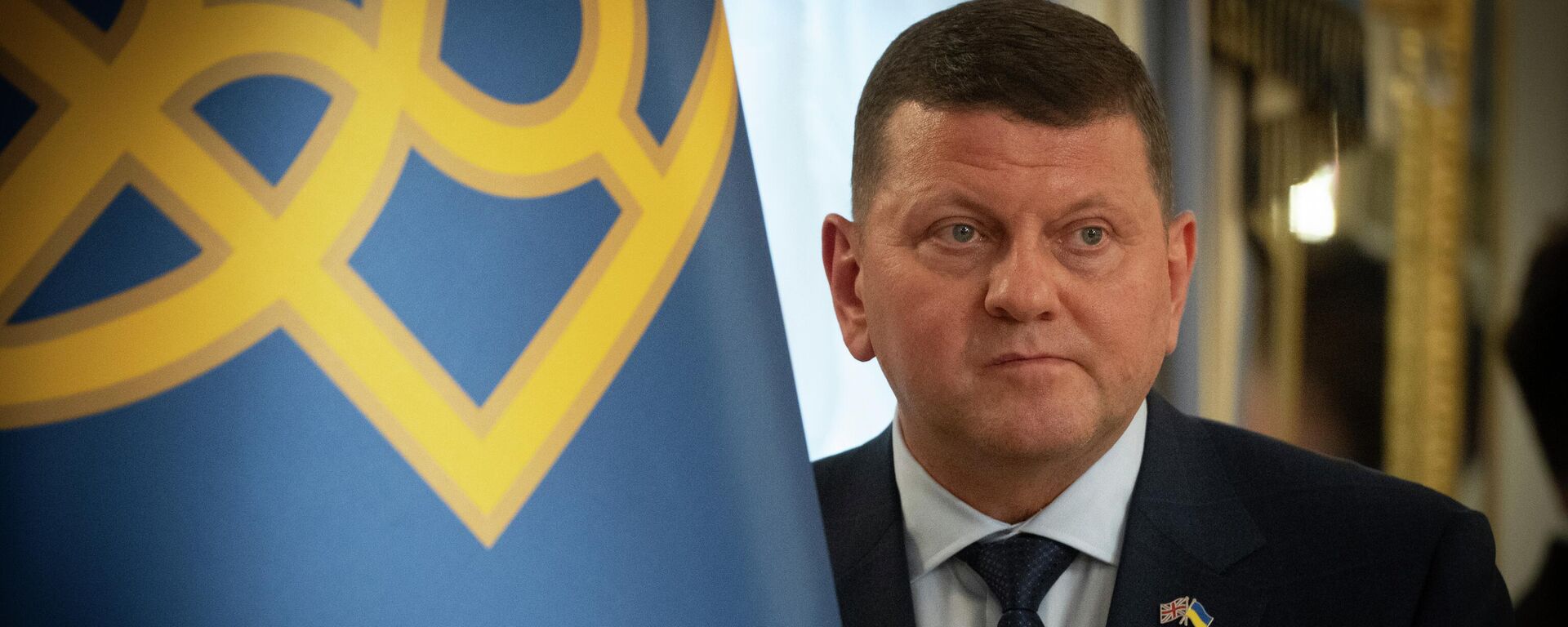 Ambasador Ukrajine u Velikoj Britaniji i bivši vrhovni komandant ukrajinskih oružanih snaga Valerij Zalužni  - Sputnik Srbija, 1920, 30.11.2025