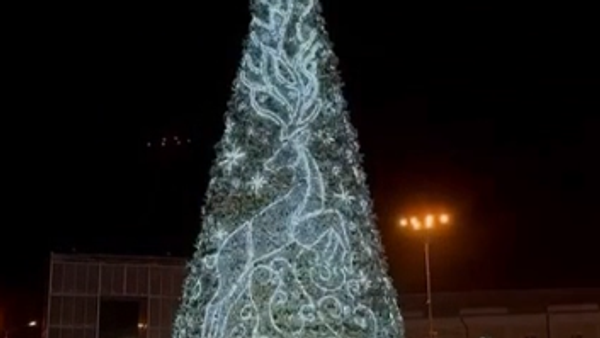 Duh hladnoće upalio je prvu novogodišnju jelku u Jakutsku - Sputnik Srbija