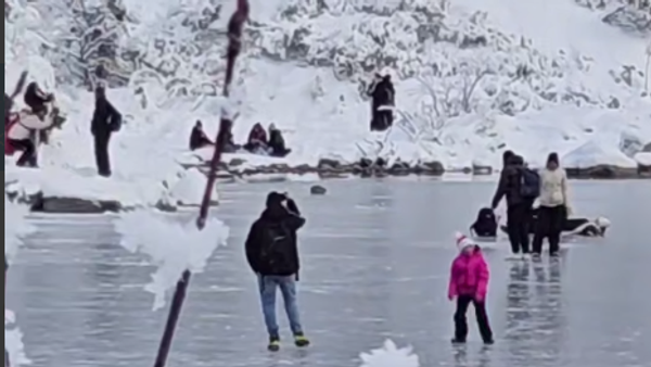 Poljski kandidati za Darvinovu nagradu u akciji - Sputnik Srbija