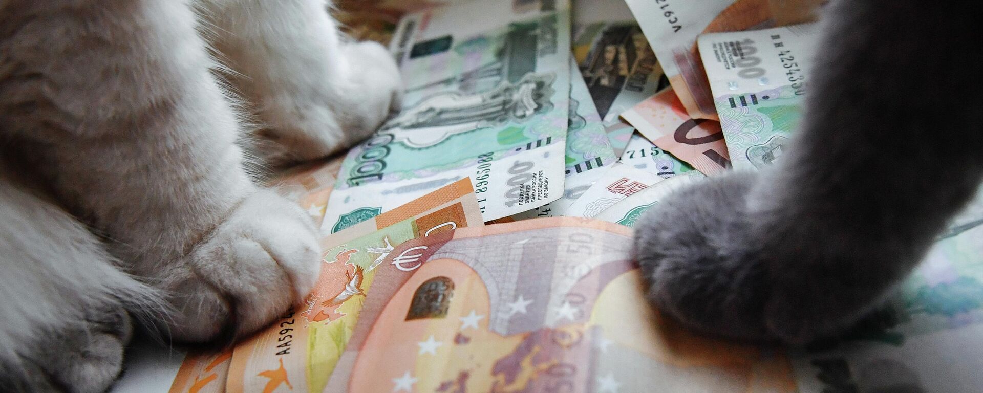 Руске рубље и еври - Sputnik Србија, 1920, 02.12.2025