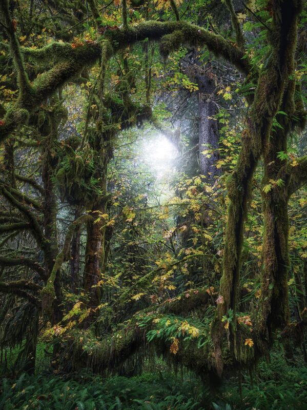 Фотографија пејзажа у Канади Џини Хана такође се нашла у самом финалу конкурса. Фотографија пејзажа у Канади Џини Хана такође се нашла у самом финалу конкурса. - Sputnik Србија