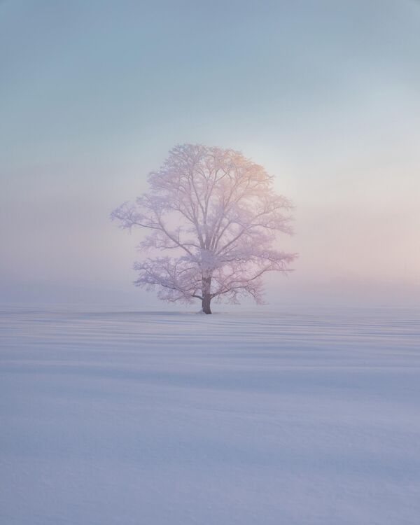 Фотографија "Шапат светлости" донела је специјалну награду Кунг-Фу Лију са Тајвана. Фотографија "Шапат светлости" донела је специјалну награду Кунг-Фу Лију са Тајвана. - Sputnik Србија