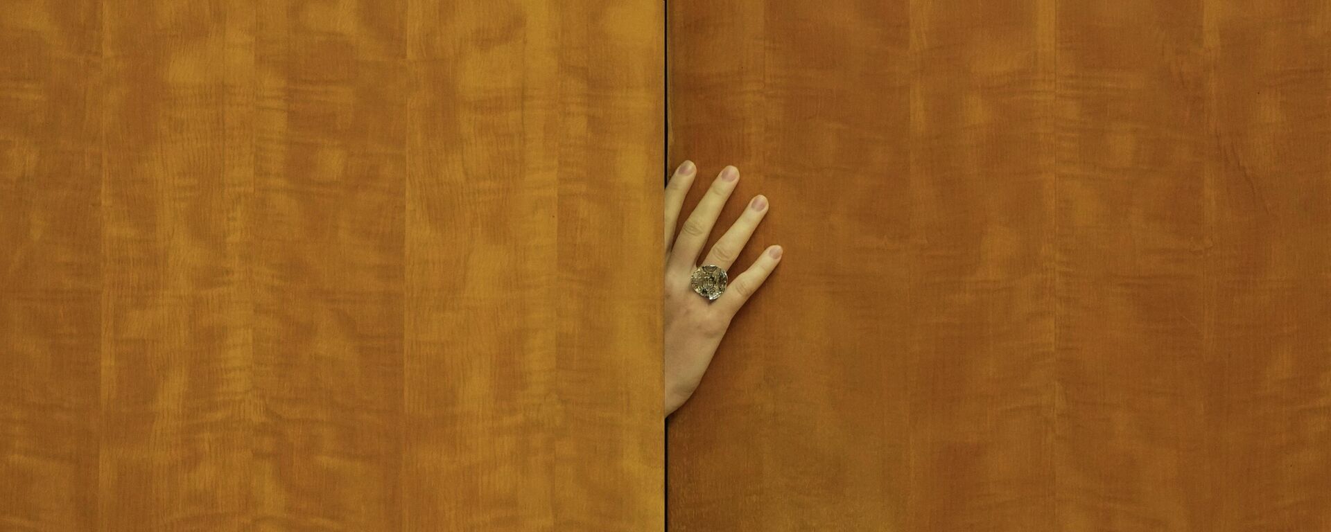 Ruka na vratima - Sputnik Srbija, 1920, 05.12.2025