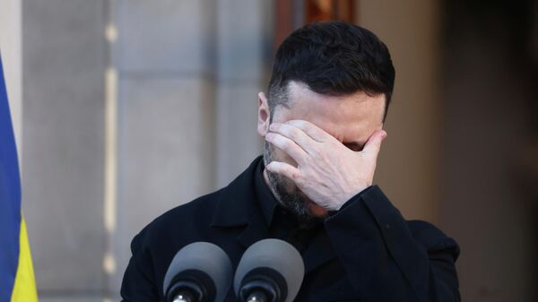 Vladimir Zelenski - Sputnik Srbija