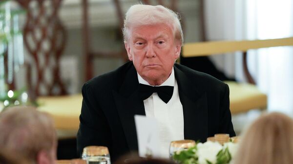 Američki predsednik Donald Tramp - Sputnik Srbija