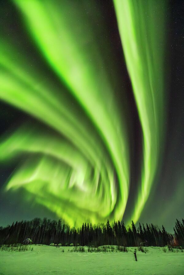 „Аурорална ролница са циметом“ – Марк Расел Фербанкс, Аљаска. - Sputnik Србија