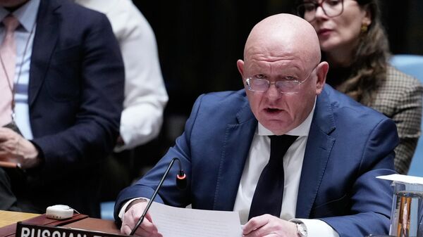 Stalni predstavnik Rusije u UN Vasilij Nebenzja - Sputnik Srbija