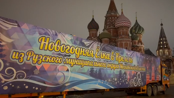 Glavna novogodišnja jelka stigla u Kremlj - Sputnik Srbija