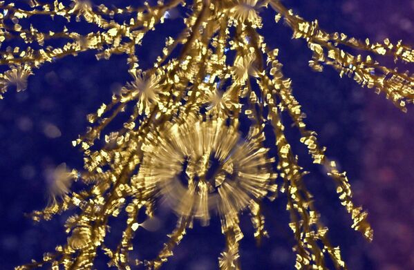 Новогодишњи Санкт Петербург није само град са божићним јелкама и гирландама, већ место које очарава својом лепотом. - Sputnik Србија