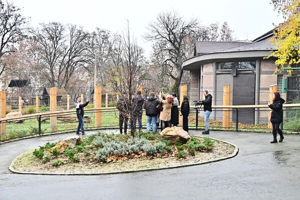 Tokom tradicionalne šetnje  medijskih ekipa beogradskim Vrtom dobre nade, biolog vrta Kristijan Ovari, je ispred rekonstrusanog slonarijuma najavio, da se sledeće godine očekuje dolazak njegove nove stanovnice  - Sputnik Srbija