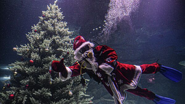 Најнеобичније и најлепше новогодишње јелке на свету /фото/