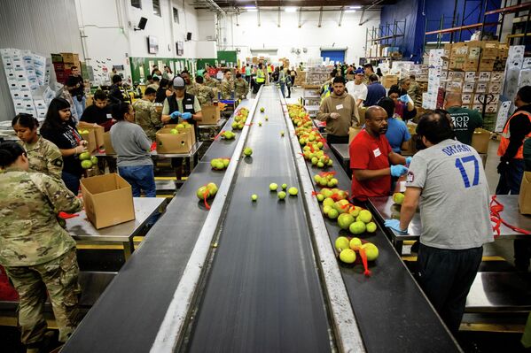 Калифорнијска Национална гарда сортира производе у Банци хране у Лос Анђелесу.  - Sputnik Србија