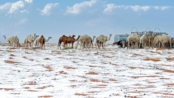 Sneg u Saudijskoj Arabiji - Sputnik Srbija