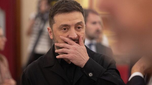 Vladimir Zelenski - Sputnik Srbija