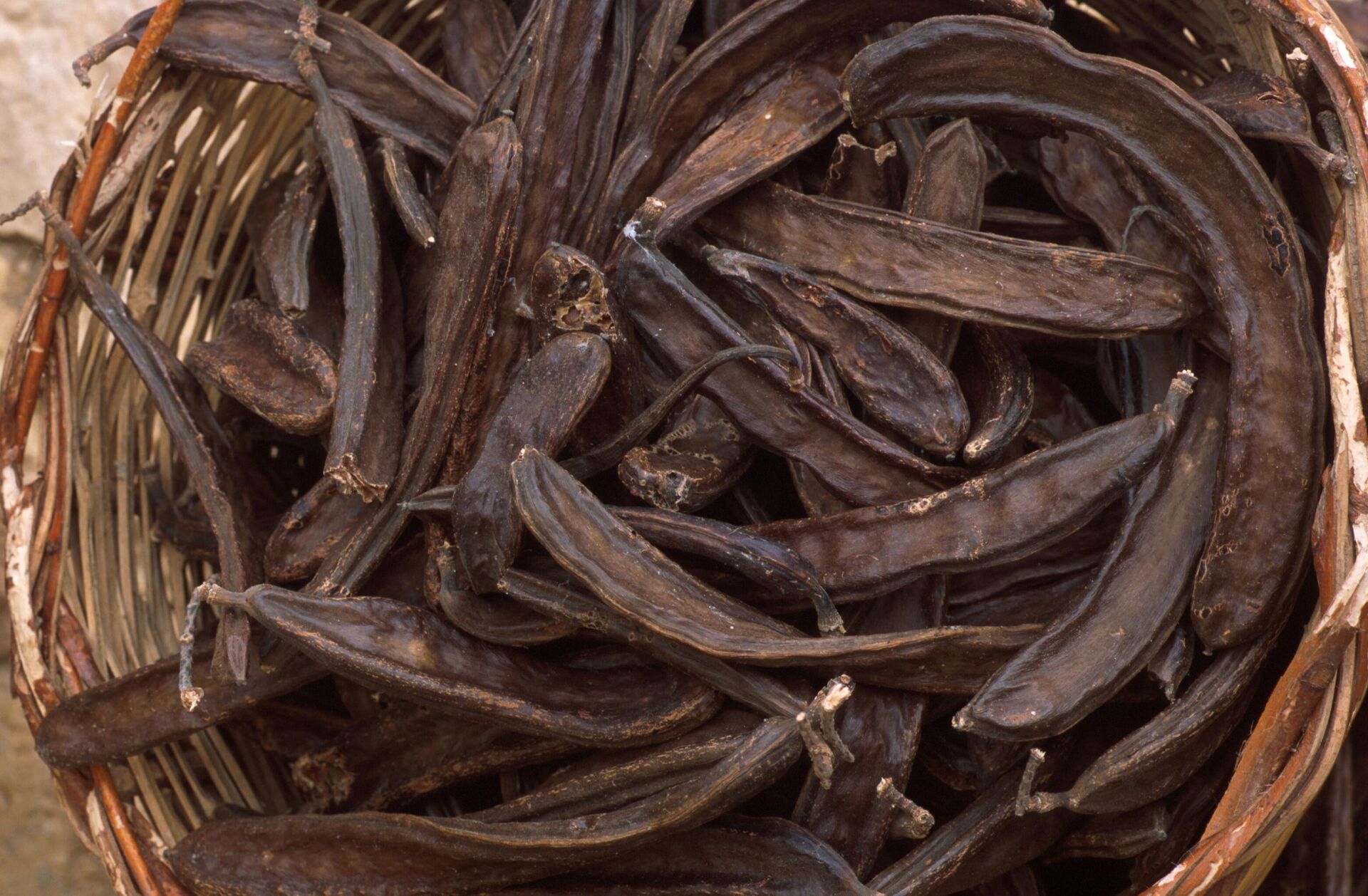 рогач - Sputnik Србија, 1920, 27.12.2025