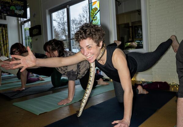 Ребека Џејкобсон у јога пози док јој змија прелази преко рамена. - Sputnik Србија