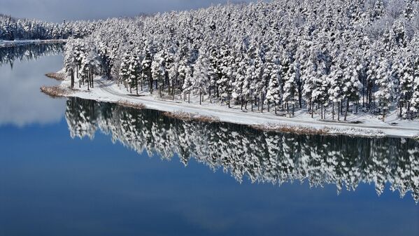 Снегом прекривена висораван Топук, која се налази на надморској висини од 1280 метара, у округу Кајнасли у Дузџеу, Турска. - Sputnik Србија