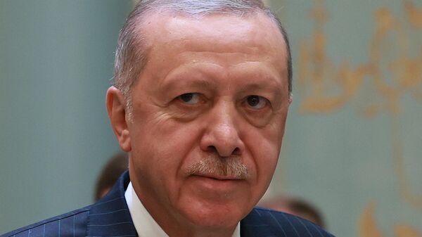 Predsednik Turske Redžep Tajip Erdogan - Sputnik Srbija