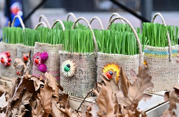 У сусрет најрадоснијем хришћанском празнику Божићу - Sputnik Србија