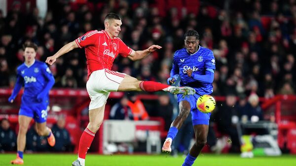 Никола Миленковић - Sputnik Србија