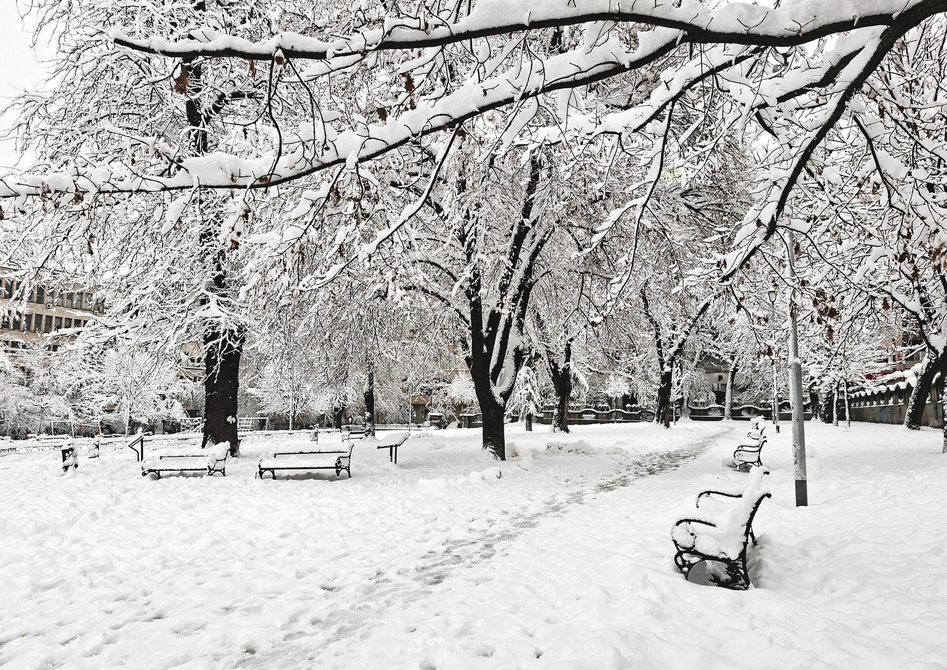 Akademski park se nalazi u najužem centru Beograda (u starom gradskom jezgru) u sklopu Studentskog trga. Akademski park se nalazi u najužem centru Beograda (u starom gradskom jezgru) u sklopu Studentskog trga. - Sputnik Srbija, 1920, 08.01.2026