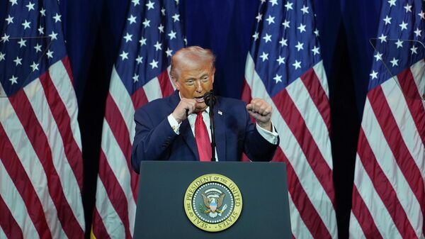 Američki predsednik Donald Tramp - Sputnik Srbija