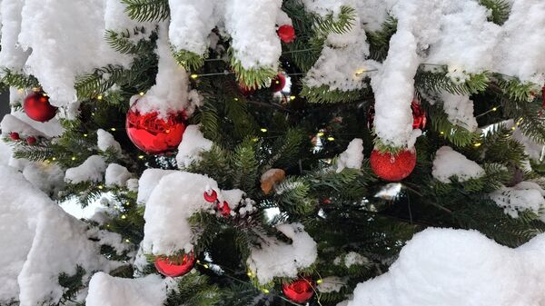  - Sputnik Србија