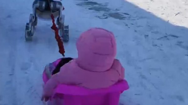 Робопас - Sputnik Србија