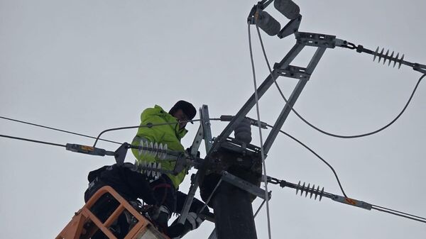 monteri na terenu - Sputnik Srbija