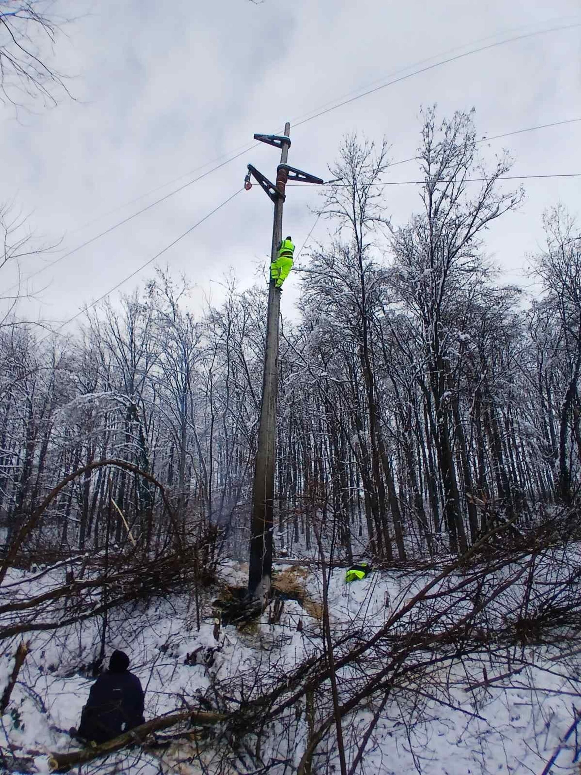 Монтери на терену - Sputnik Србија, 1920, 10.01.2026