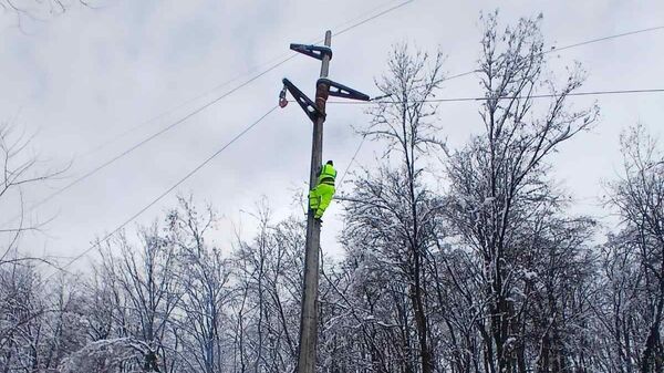 Monteri na terenu - Sputnik Srbija