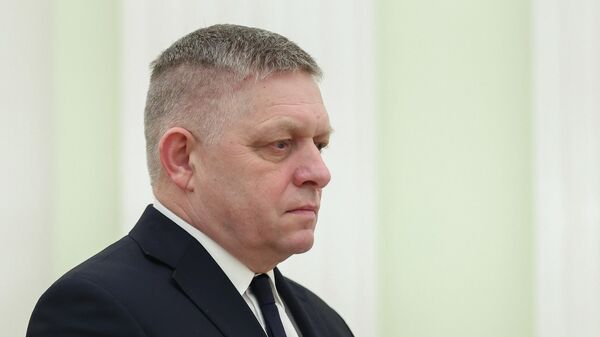 Slovački premijer Robert Fico - Sputnik Srbija