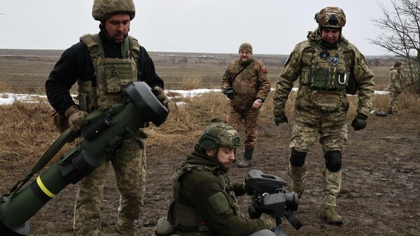 Ukrajinska vojska - Sputnik Srbija