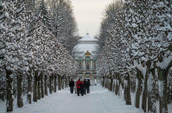 Muzej-rezervat se prostire se na površini od 107 hektara. - Sputnik Srbija