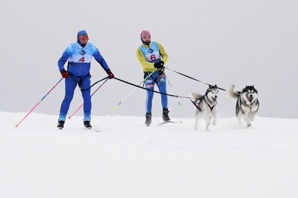 Скијаши са псима. - Sputnik Србија