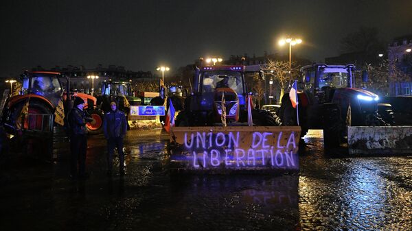 Протест пољопривредника у Француској - Sputnik Србија
